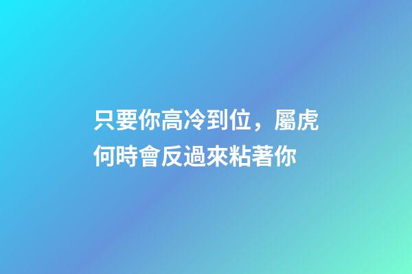 只要你高冷到位，屬虎何時會反過來粘著你