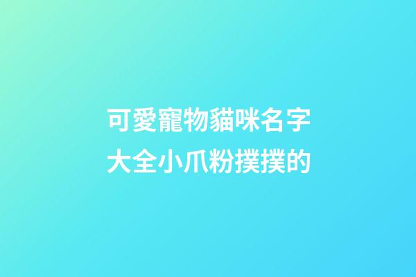 可愛寵物貓咪名字大全小爪粉撲撲的