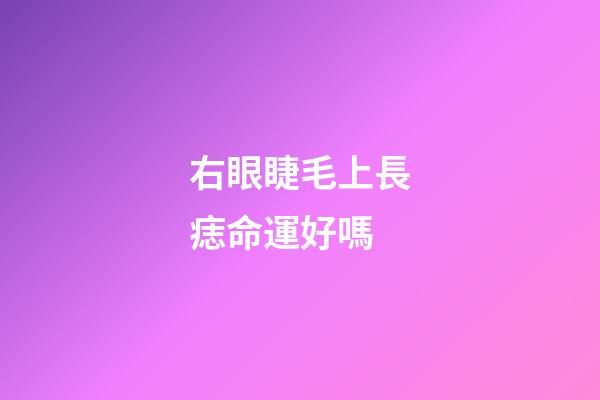 右眼睫毛上長痣命運好嗎