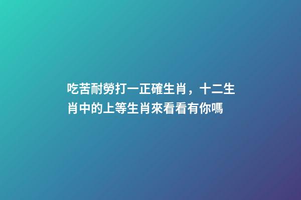 吃苦耐勞打一正確生肖，十二生肖中的上等生肖來看看有你嗎-第1張-觀點-玄機派