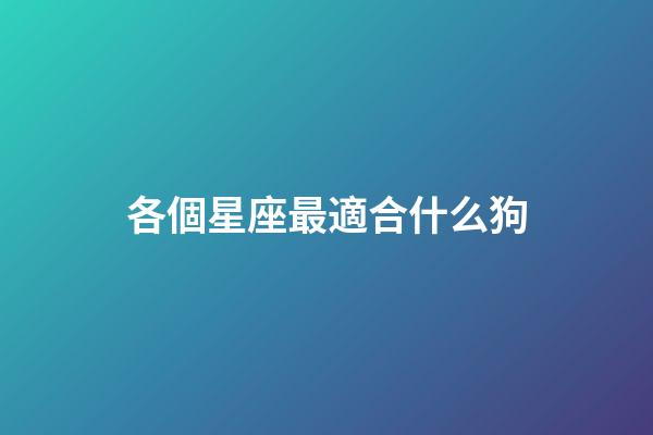 各個星座最適合什么狗-第1張-星座運勢-玄機派