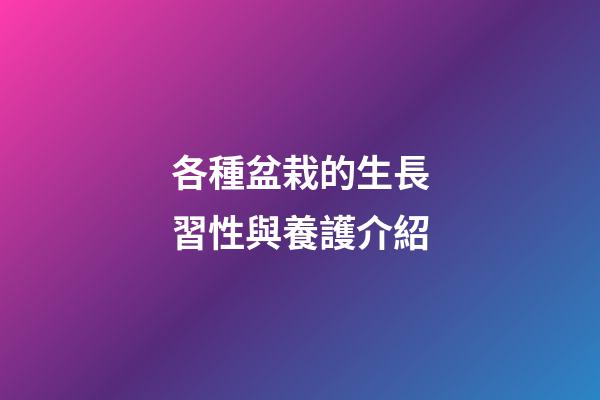 各種盆栽的生長習性與養護介紹