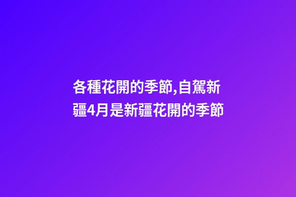 各種花開的季節,自駕新疆4月是新疆花開的季節-第1張-觀點-玄機派