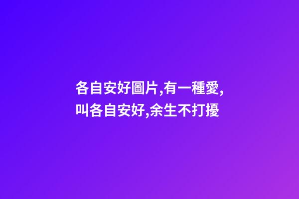 各自安好圖片,有一種愛,叫各自安好,余生不打擾-第1張-觀點(diǎn)-玄機(jī)派