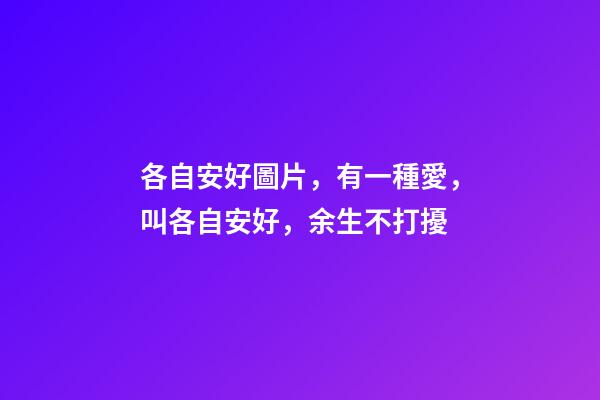 各自安好圖片，有一種愛，叫各自安好，余生不打擾-第1張-觀點(diǎn)-玄機(jī)派