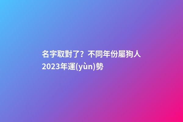 名字取對了？不同年份屬狗人2023年運(yùn)勢