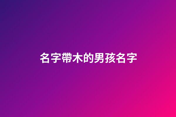 名字帶木的男孩名字(帶木的名字男孩洋氣點(diǎn))-第1張-男孩起名-玄機(jī)派