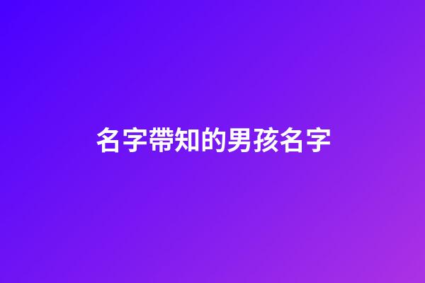 名字帶知的男孩名字(名字帶知的男孩名字怎么取)-第1張-男孩起名-玄機派