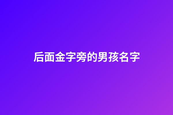 后面金字旁的男孩名字(金字旁的男孩兒名字)-第1張-男孩起名-玄機派