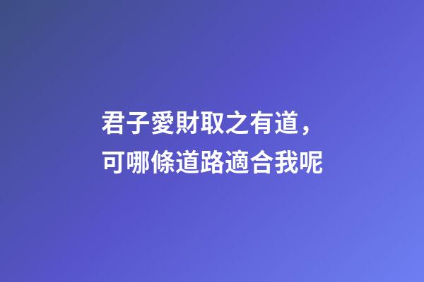 君子愛財取之有道，可哪條道路適合我呢?