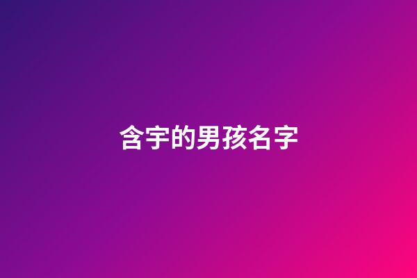 含宇的男孩名字(含宇的男孩名字大全)-第1張-男孩起名-玄機派