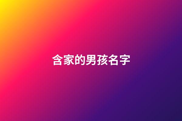 含家的男孩名字(帶家的名字男孩名字)-第1張-男孩起名-玄機派