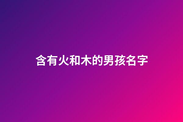含有火和木的男孩名字(名字帶火和木的男孩名字)-第1張-男孩起名-玄機派