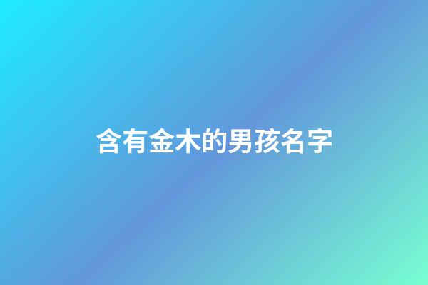含有金木的男孩名字(含有金木的男孩名字有哪些)-第1張-男孩起名-玄機派