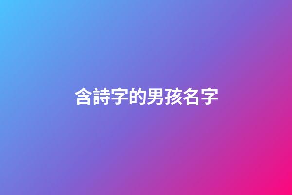 含詩字的男孩名字(含詩字的男孩名字大全)-第1張-男孩起名-玄機派