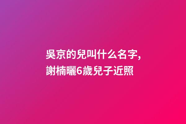 吳京的兒叫什么名字,謝楠曬6歲兒子近照-第1張-觀點(diǎn)-玄機(jī)派