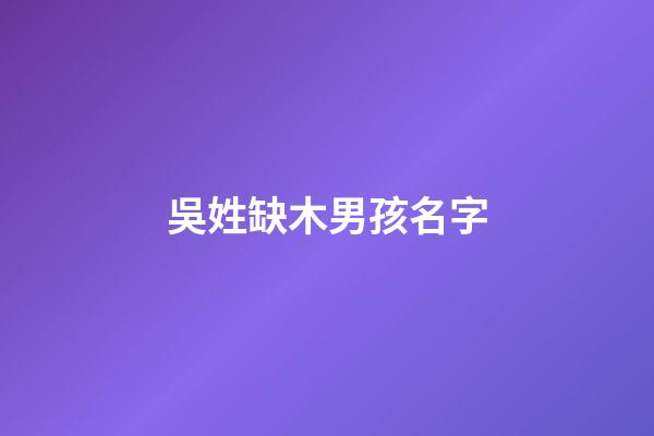 吳姓缺木男孩名字(吳姓缺木男孩名字有哪些)-第1張-男孩起名-玄機派