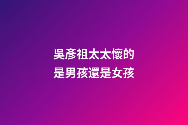 吳彥祖太太懷的是男孩還是女孩