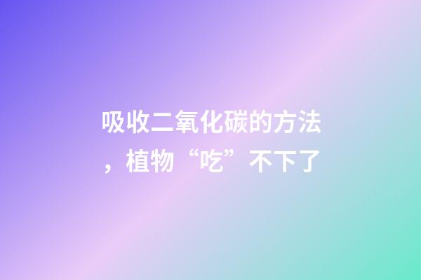 吸收二氧化碳的方法，植物“吃”不下了-第1張-觀點-玄機派