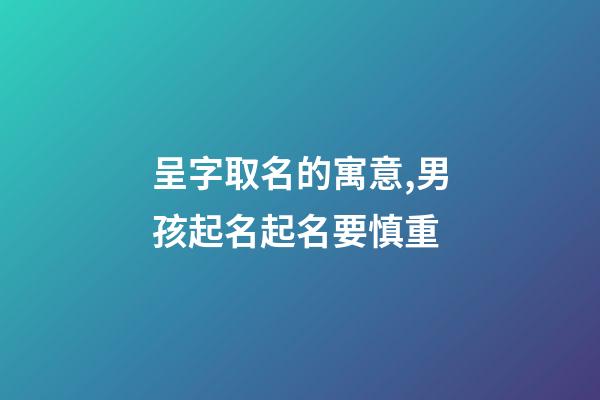 呈字取名的寓意,男孩起名起名要慎重-第1張-觀點-玄機派