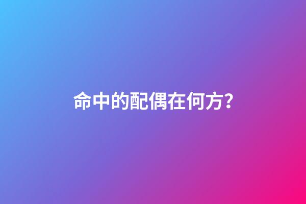 命中的配偶在何方？