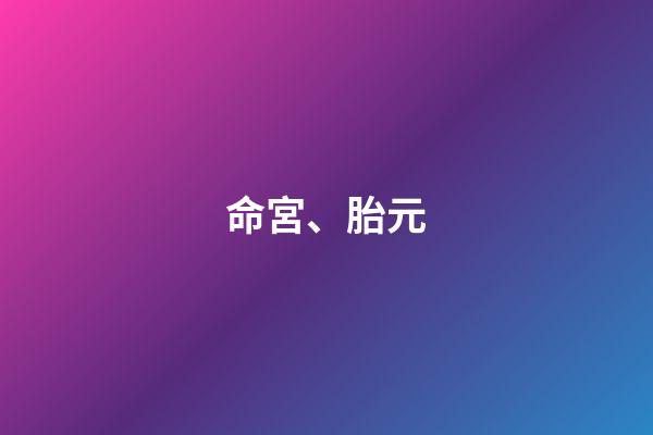 命宮、胎元