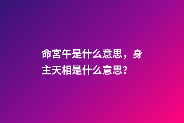 命宮午是什么意思，身主天相是什么意思？-第1張-觀點-玄機派