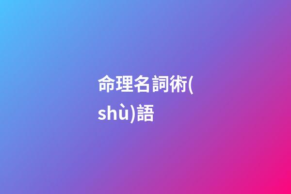 命理名詞術(shù)語