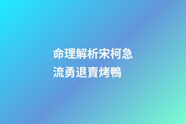 命理解析宋柯急流勇退賣烤鴨