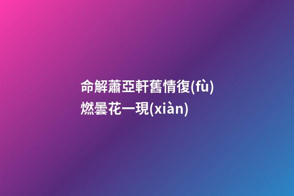 命解蕭亞軒舊情復(fù)燃曇花一現(xiàn)