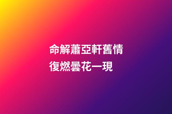 命解蕭亞軒舊情復燃曇花一現