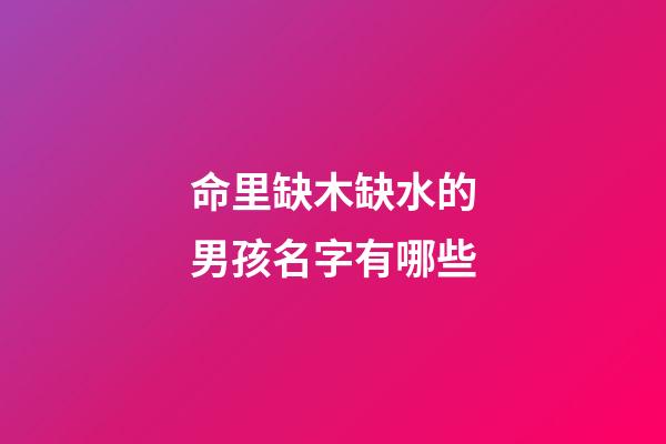命里缺木缺水的男孩名字有哪些(缺木水的男孩名字大全集)-第1張-男孩起名-玄機派