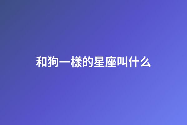 和狗一樣的星座叫什么-第1張-星座運(yùn)勢-玄機(jī)派
