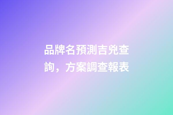 品牌名預測吉兇查詢，方案調查報表-第1張-商標起名-玄機派