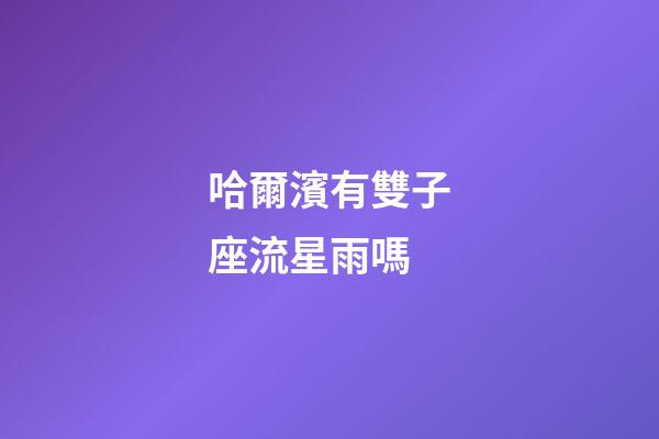 哈爾濱有雙子座流星雨嗎-第1張-星座運(yùn)勢(shì)-玄機(jī)派