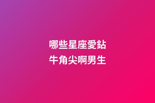 哪些星座愛鉆牛角尖啊男生-第1張-星座運勢-玄機(jī)派