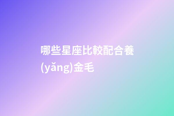 哪些星座比較配合養(yǎng)金毛-第1張-星座運勢-玄機派