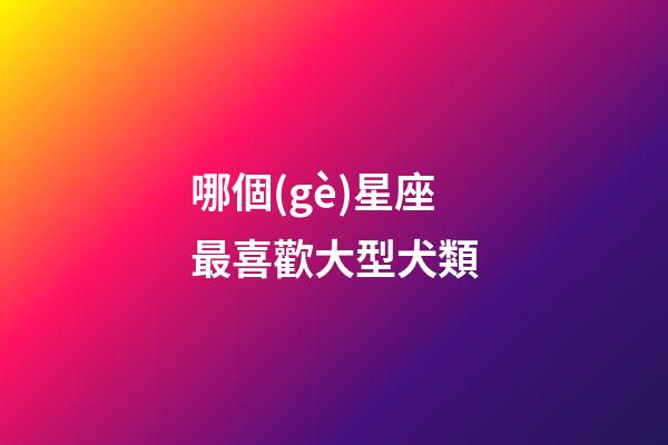 哪個(gè)星座最喜歡大型犬類