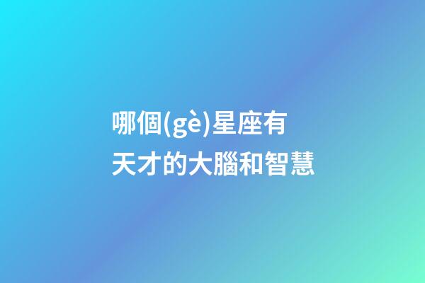 哪個(gè)星座有天才的大腦和智慧-第1張-星座運(yùn)勢-玄機(jī)派
