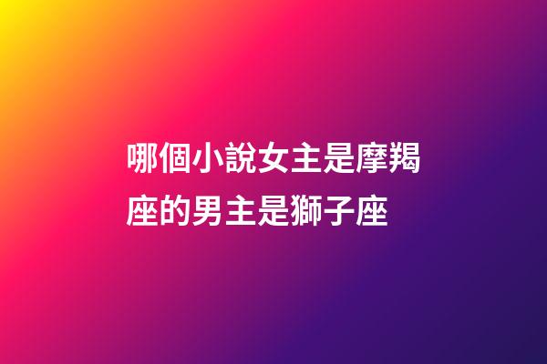 哪個小說女主是摩羯座的男主是獅子座-第1張-星座運勢-玄機派