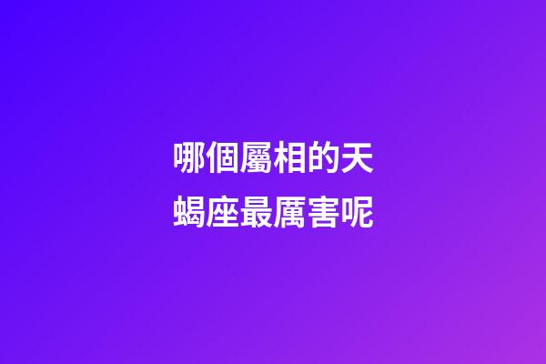 哪個屬相的天蝎座最厲害呢-第1張-星座運勢-玄機派