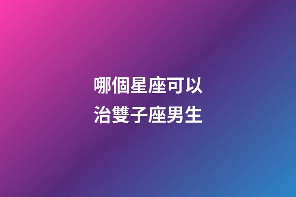 哪個星座可以治雙子座男生-第1張-星座運勢-玄機派