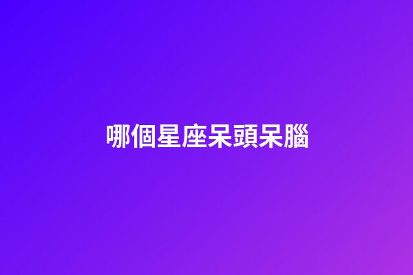 哪個星座呆頭呆腦