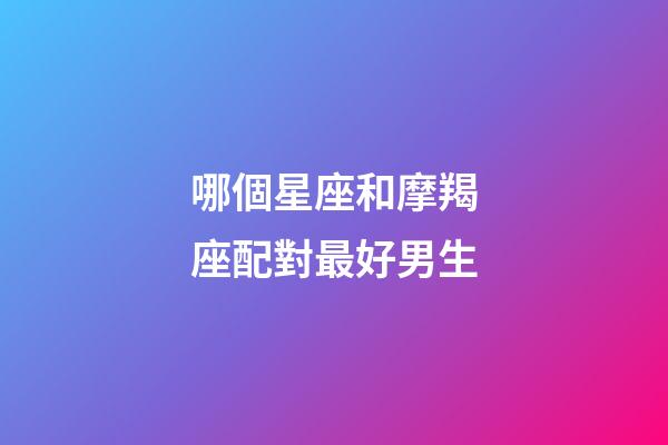 哪個星座和摩羯座配對最好男生-第1張-星座運勢-玄機派