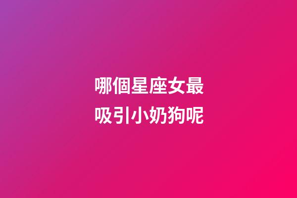 哪個星座女最吸引小奶狗呢-第1張-星座運(yùn)勢-玄機(jī)派