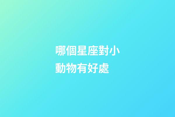 哪個星座對小動物有好處-第1張-星座運勢-玄機派