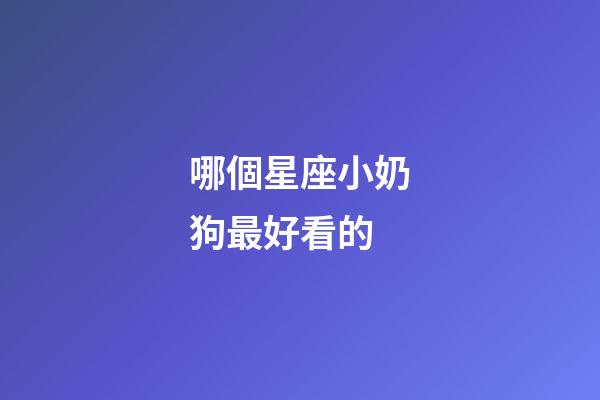 哪個星座小奶狗最好看的-第1張-星座運勢-玄機派