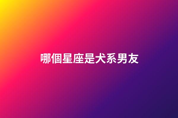 哪個星座是犬系男友-第1張-星座運勢-玄機派