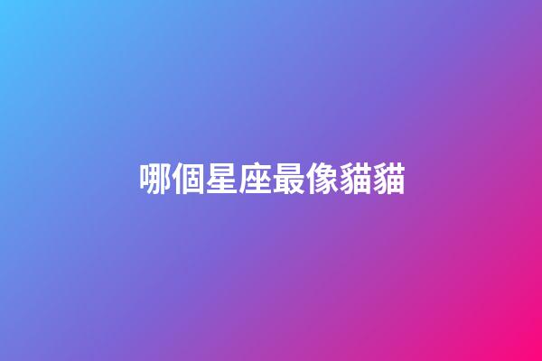 哪個星座最像貓貓-第1張-星座運勢-玄機派