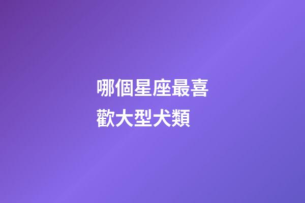 哪個星座最喜歡大型犬類-第1張-星座運勢-玄機派